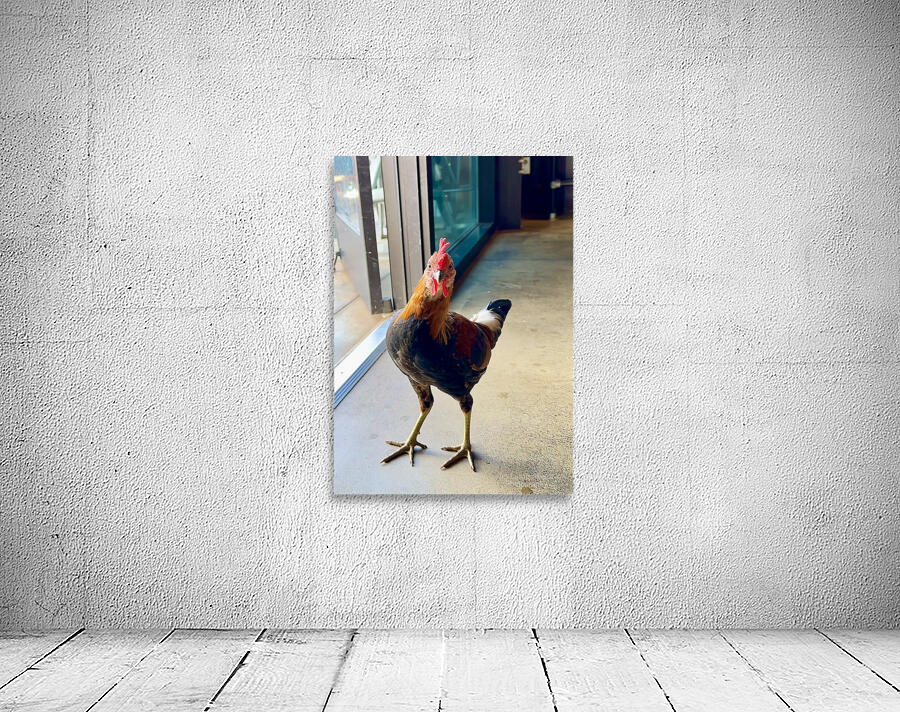 Hello can I help you  Wall Preview