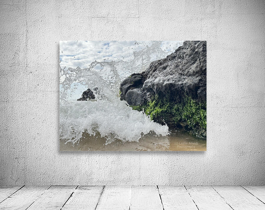 IMG 0828 Wall Preview