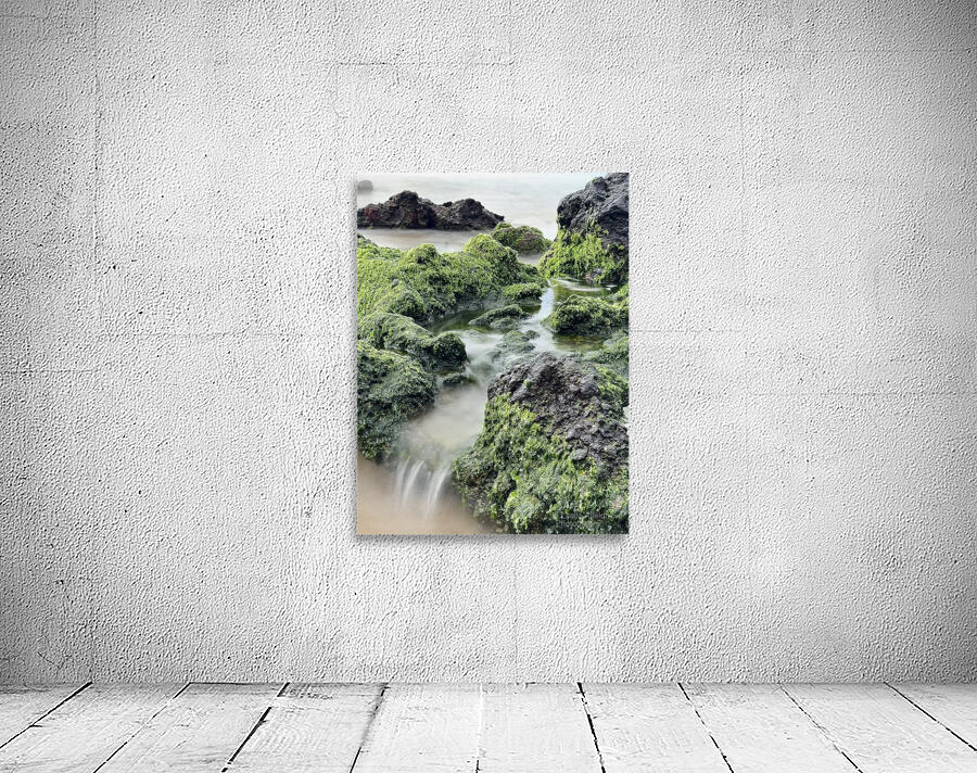 IMG 0839 Wall Preview