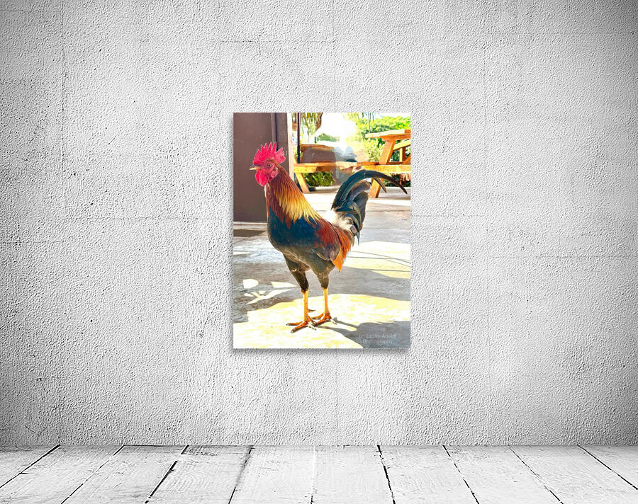 IMG 1103 Copy Wall Preview