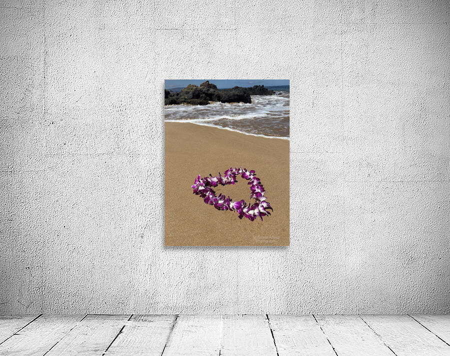 IMG 1727 Wall Preview