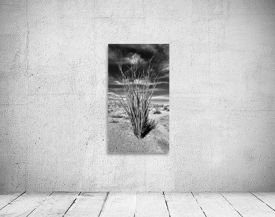 Desert Drama Wall Preview