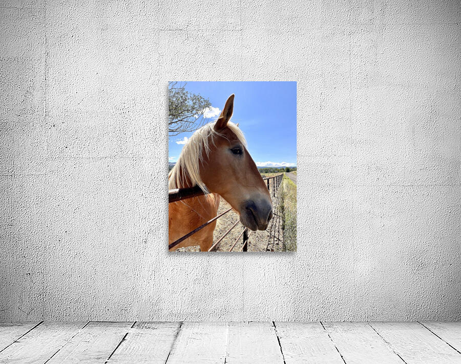 Hay Girl  Wall Preview