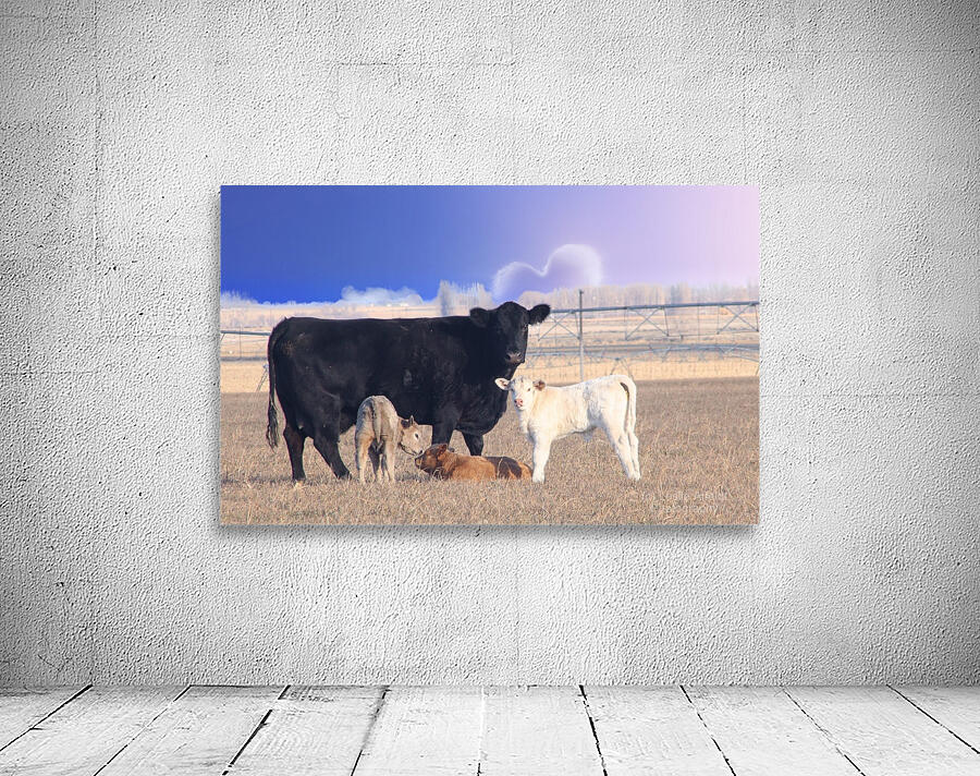 Calving Season Wall Preview