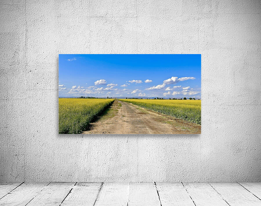 Country Road Wall Preview