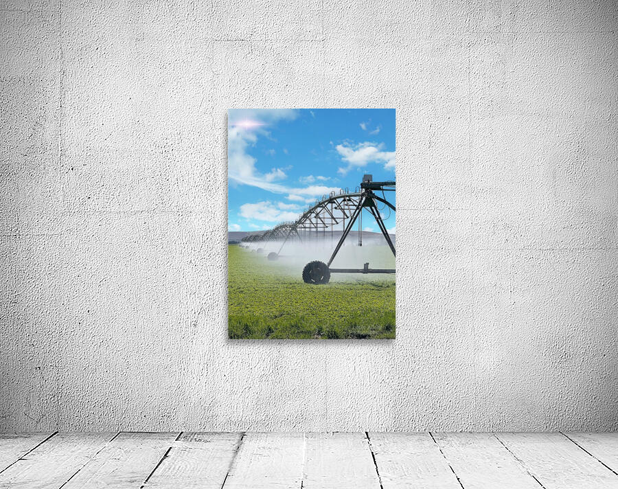 66B8AC6A 6571 4FAB 9070 E89EFFB74593 Wall Preview