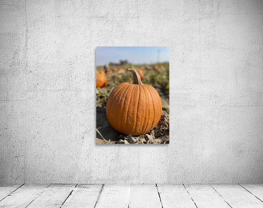 Fall Vibes Wall Preview