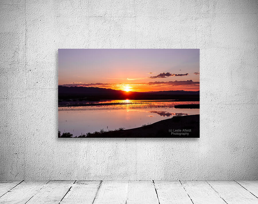 Havasu National Wildlife Refuge 7-18-25 Wall Preview