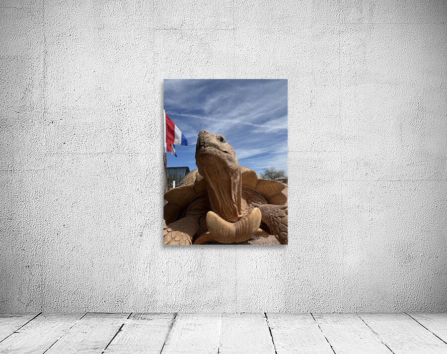 Arizona Tortoise -2 Wall Preview