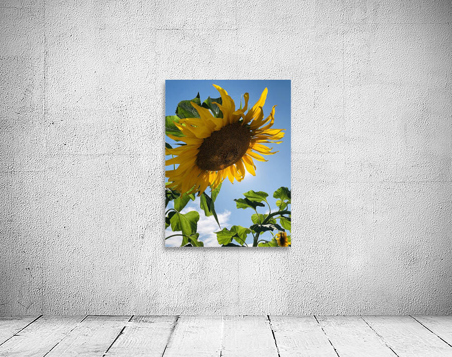 Sunflower Love Wall Preview