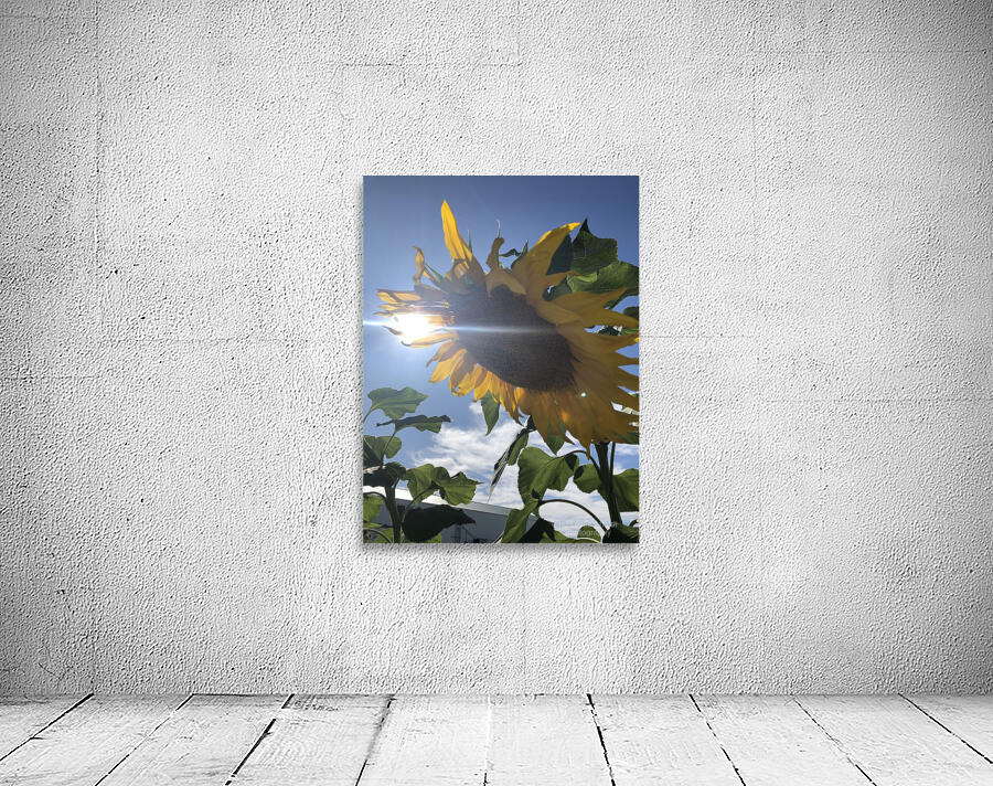 Sunflower and Sunlight Wall Preview