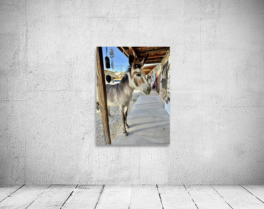 Miss Pickles Wall Preview