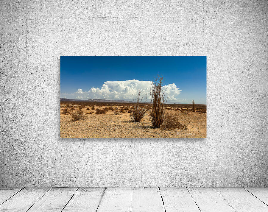 Monsoon Coming Wall Preview