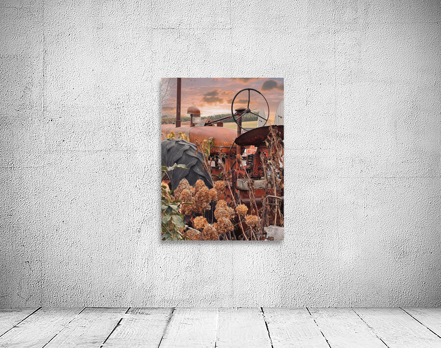 Something in the Orange. Vintage Farmall tractor Wall Preview