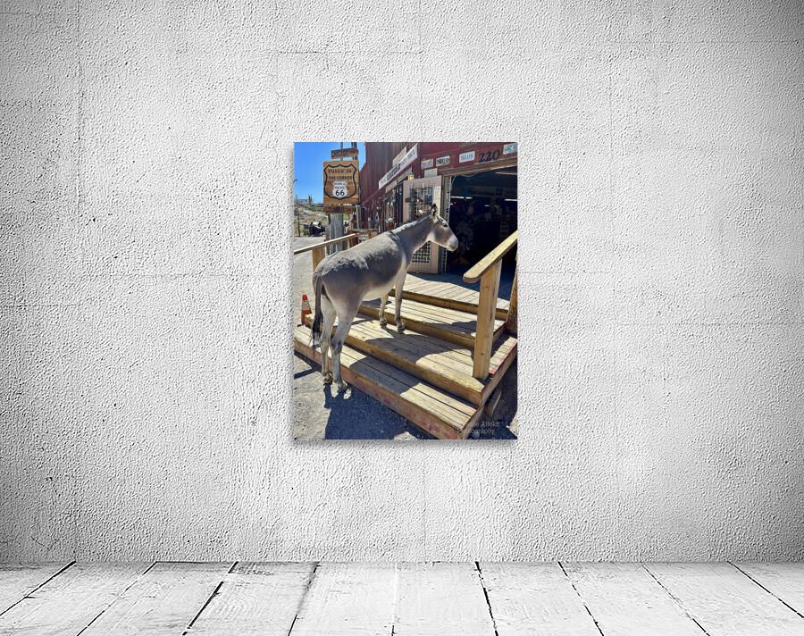 What’s on sale   Wall Preview