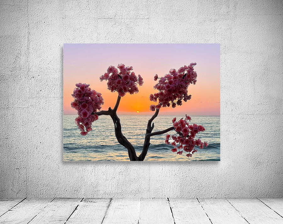 Rosarito Sunset - Rosarito Baja Mexico Wall Preview