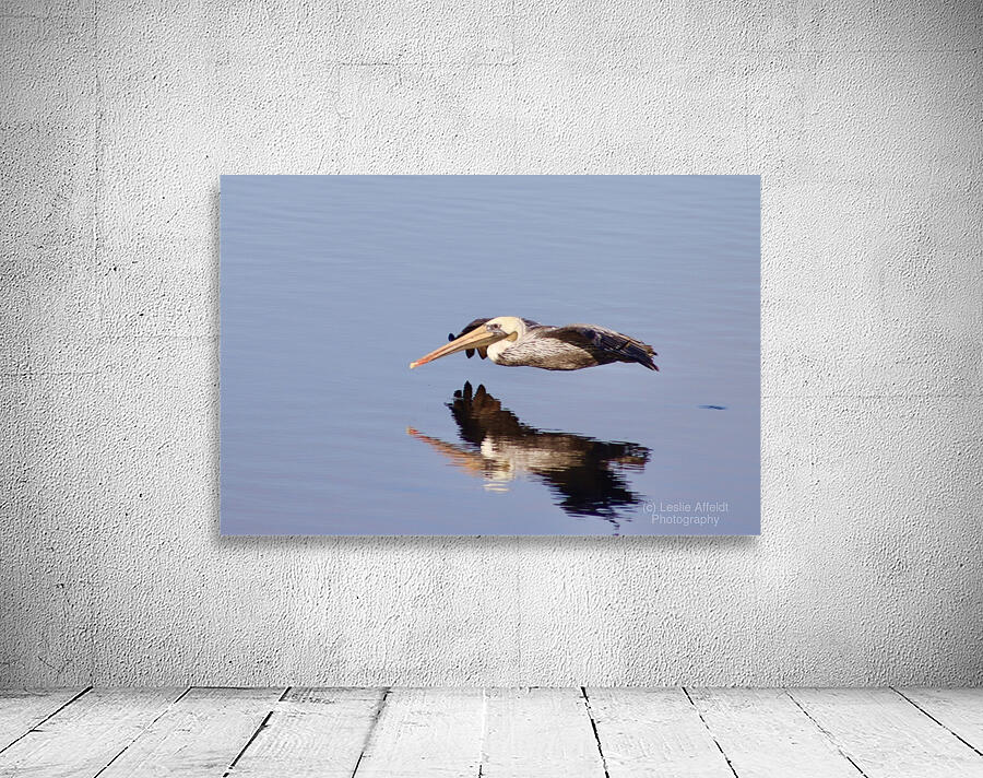 Reflection in Flight Wall Preview