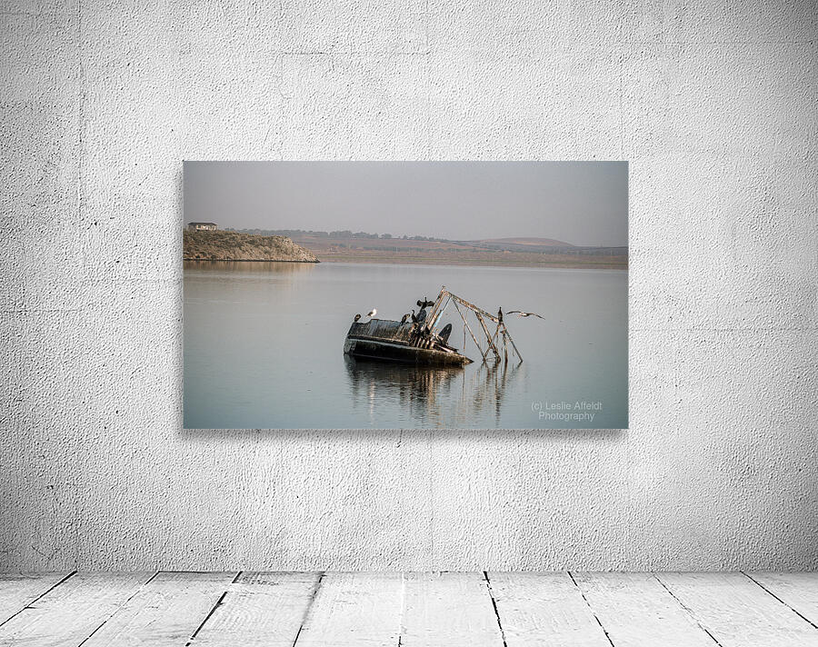 Silent Wreckage on Still Waters Wall Preview