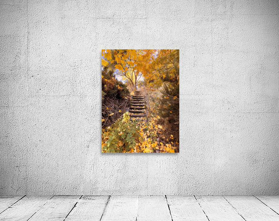 Autumn’s quiet retreat Wall Preview