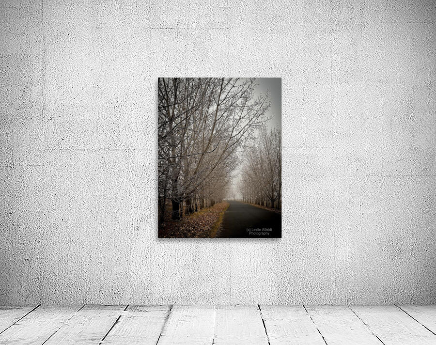 Winter’s Breath Wall Preview