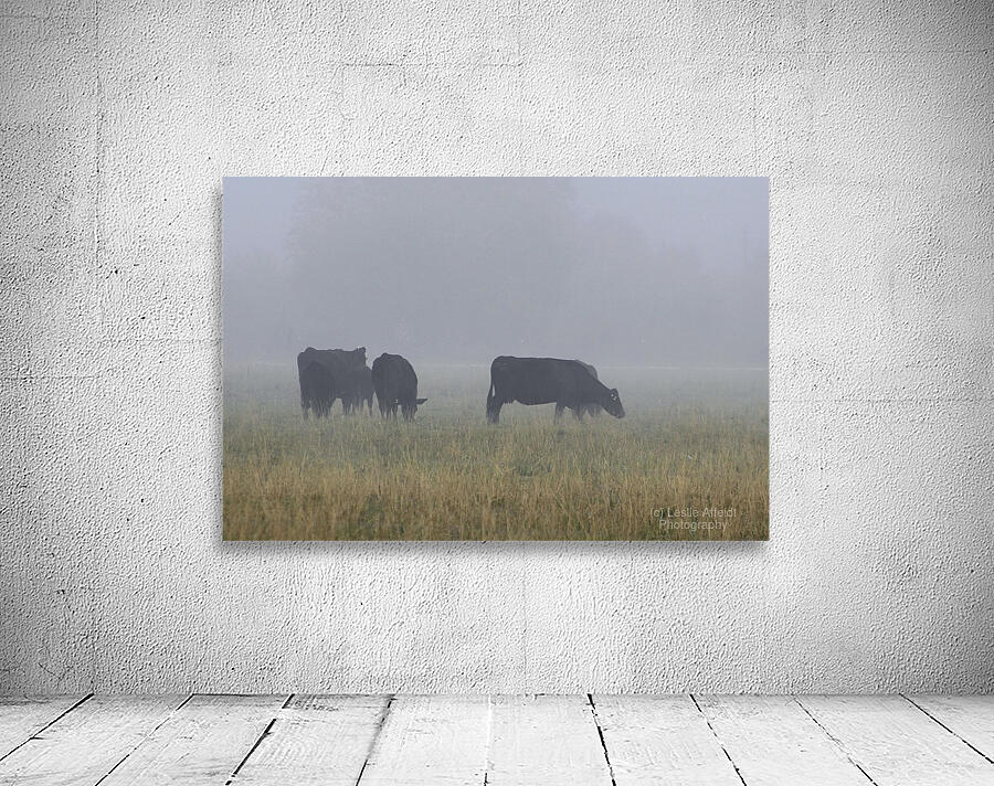 Misty Moood Wall Preview