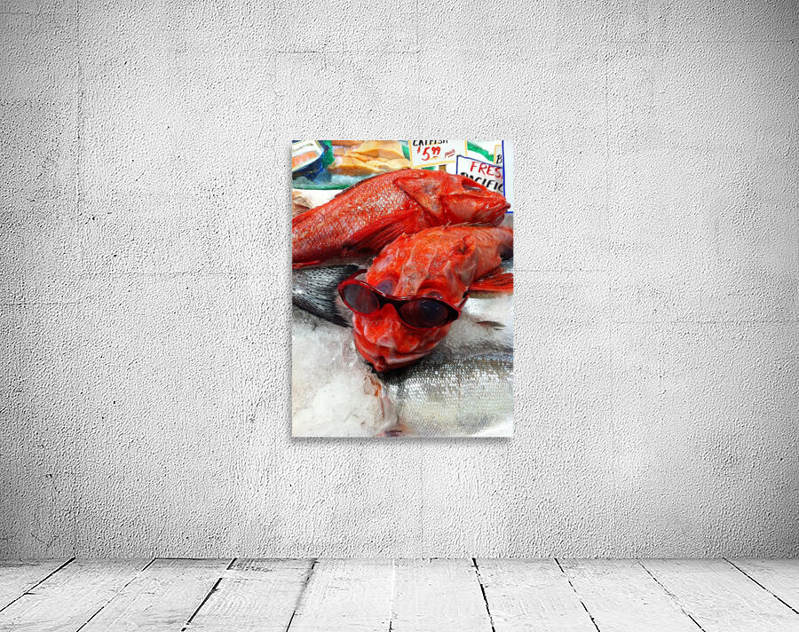 Something Fishy Wall Preview