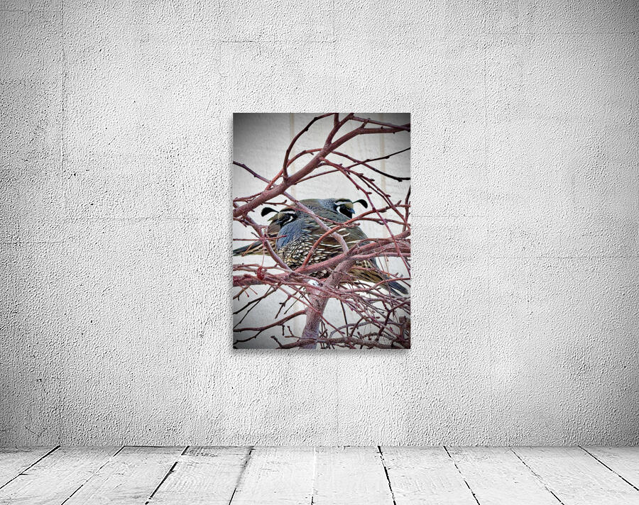 Winter Quail Wall Preview