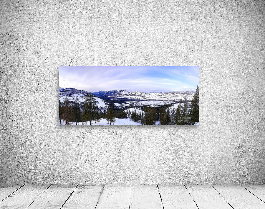 Winter in Washington Wall Preview