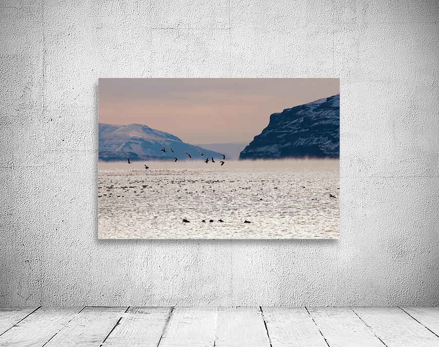 Beauty in the bitter cold - Columbia River 1 Wall Preview