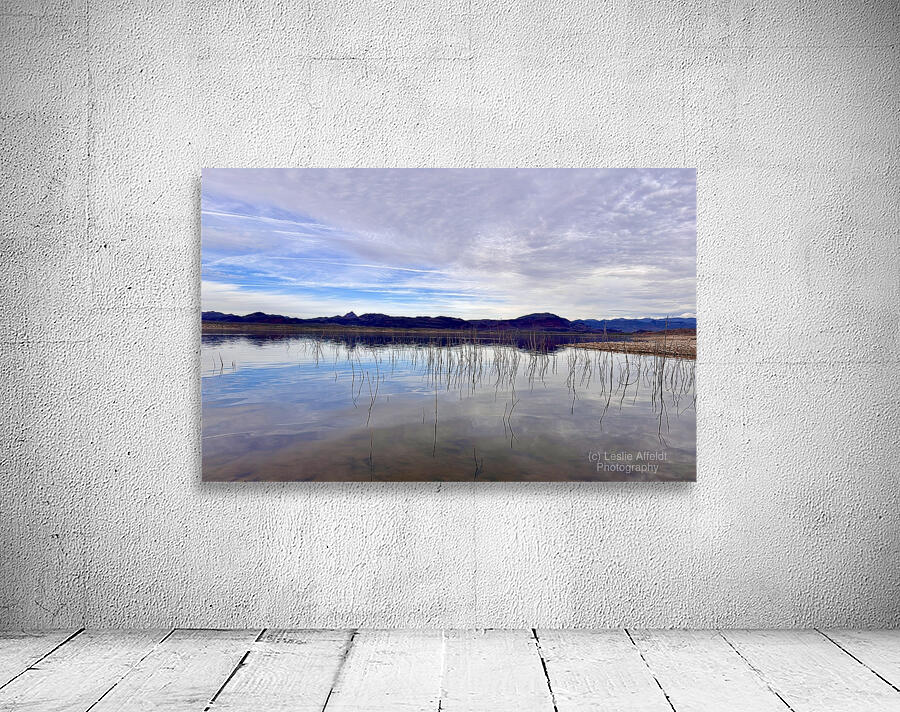 Alamo Lake Arizona -2 Wall Preview