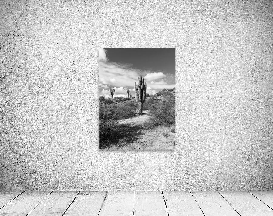 Fine Art Desert Wall Preview