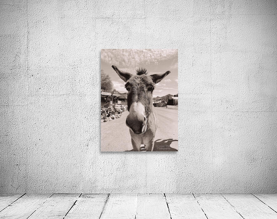 Oatman Donkey - Sepia tone Wall Preview