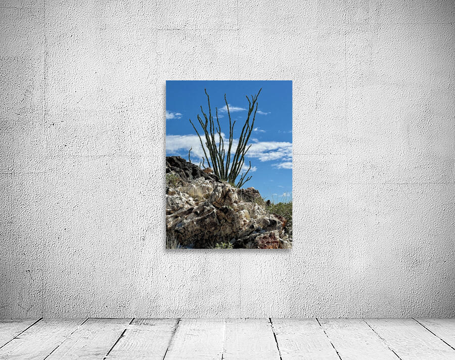 Quartz & Ocotillo    Wall Preview