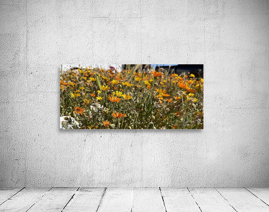 Happy little wildflowers Wall Preview