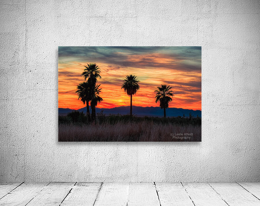 5 Mile Landing - Topock Marsh Wall Preview