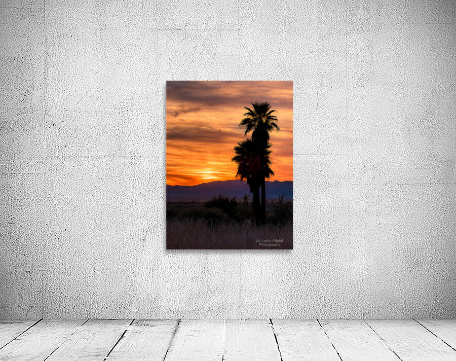 Topock Marsh Sunset Wall Preview