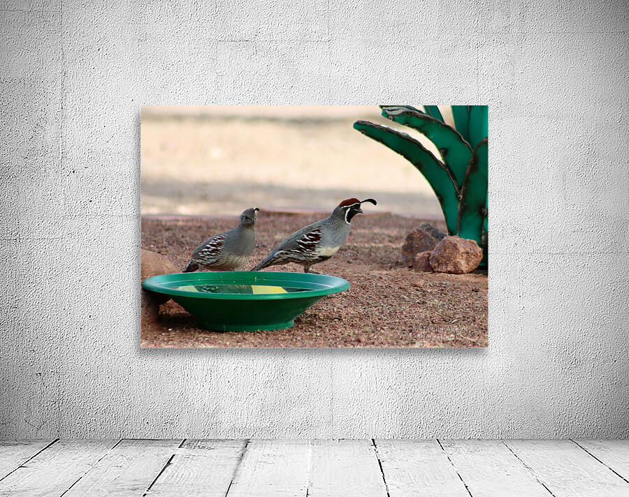 Ye Old Watering Hole Wall Preview