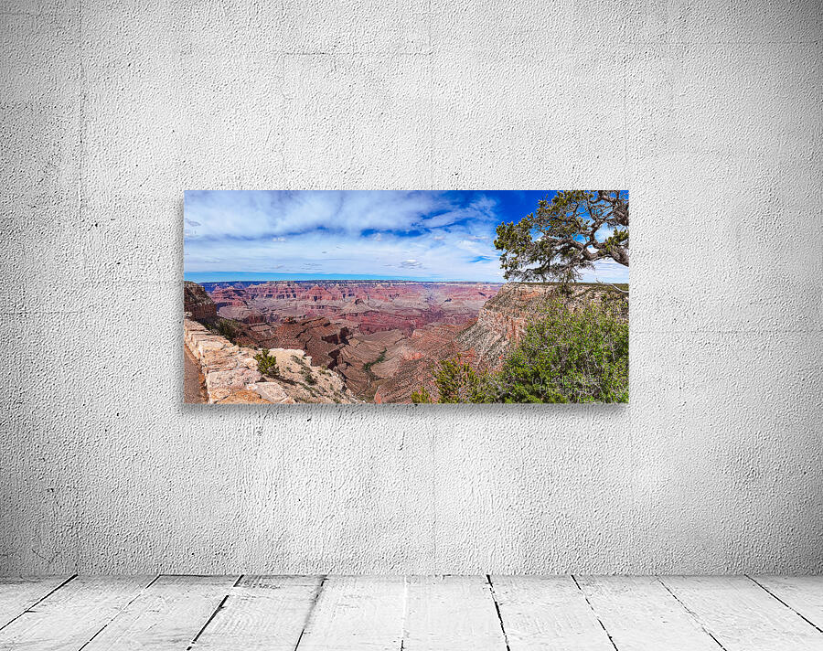 Grand Canyon from Grand Canyon Village Wall Preview