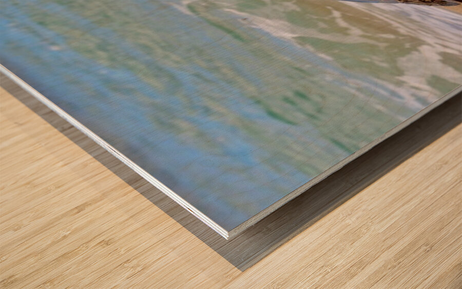 Maui Sea Turtle 1 Wood print