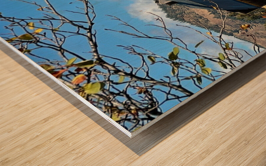 Dunford Barn 1 Wood print