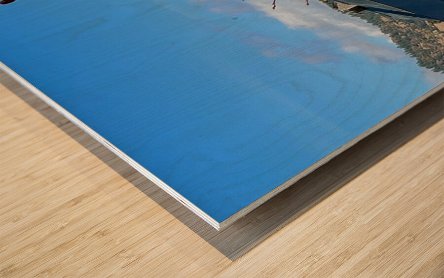 Dunford Barn 2 Wood print