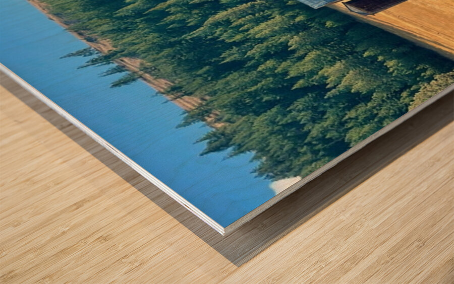 Dunford Barn 4 Wood print