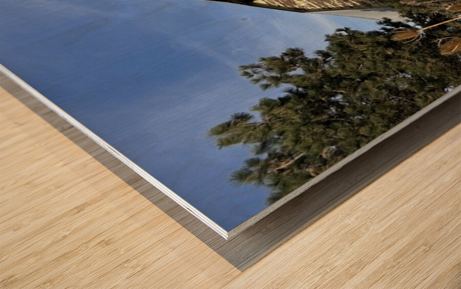 Colfax Barn 2 Wood print