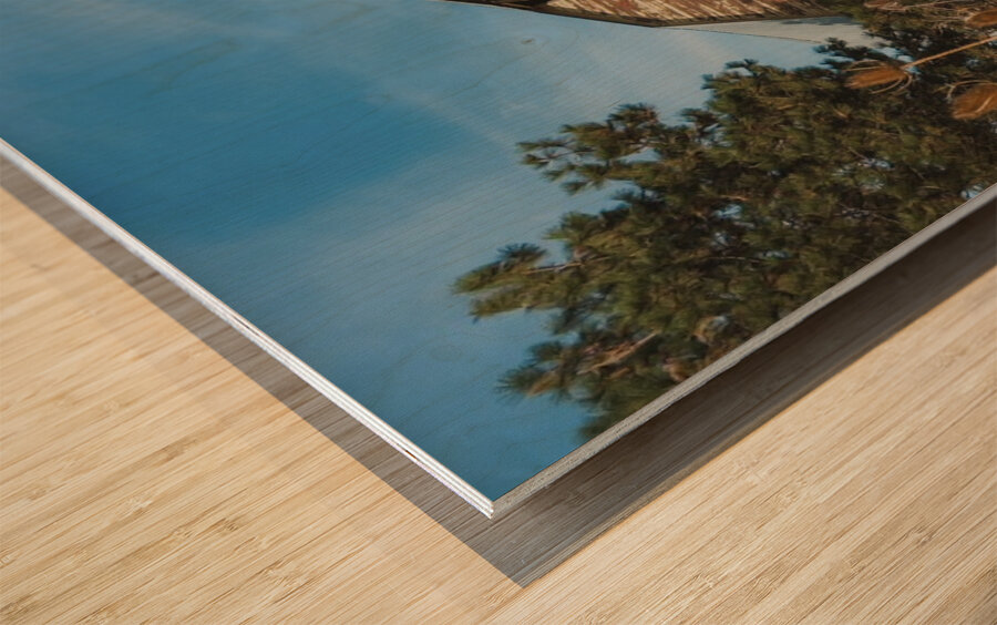 Colfax Barn 3 Wood print