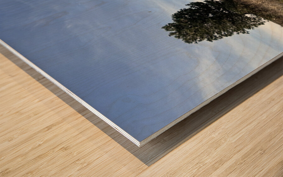 Colfax Barn 4 Wood print