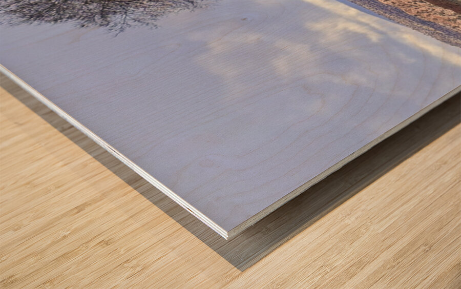 Farmhouse Decay - horizontal Wood print