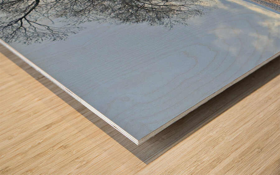 Farmhouse Decay - vertical Wood print