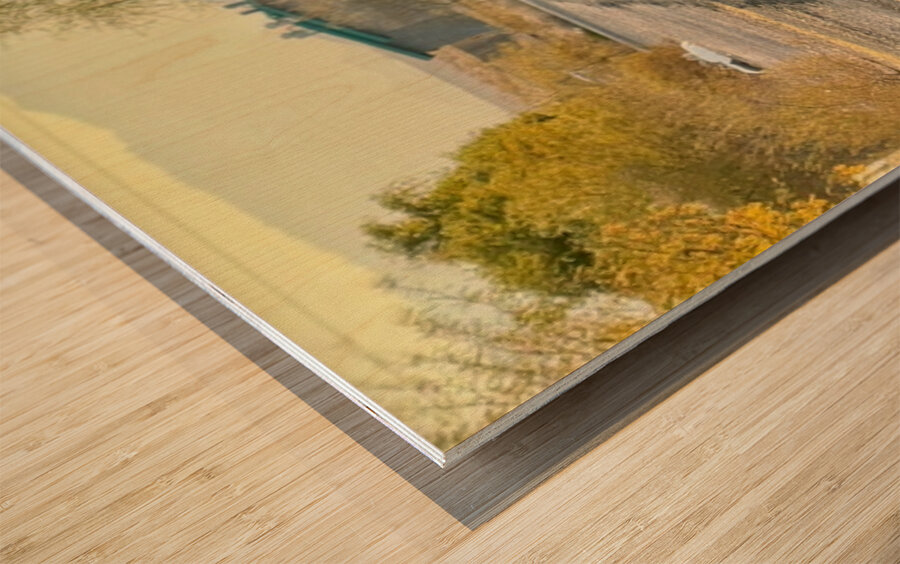 Donkey on my street Wood print