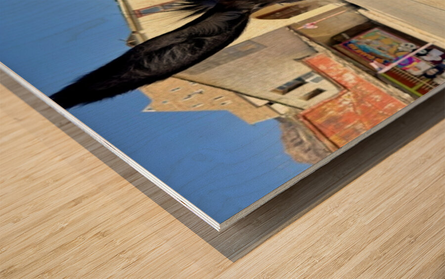 Oatman resident Wood print