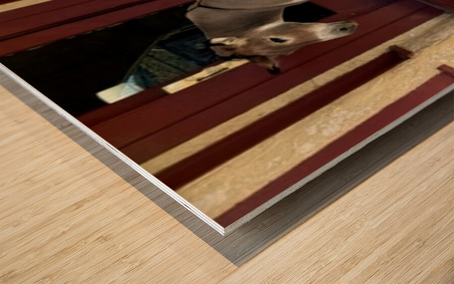 My eyes are up here  Wood print